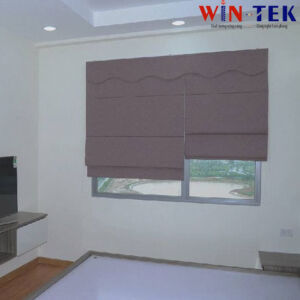 Rèm roman cản nắng 100% mã D008