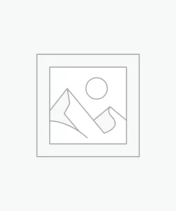 Nơi nhập dữ liệu